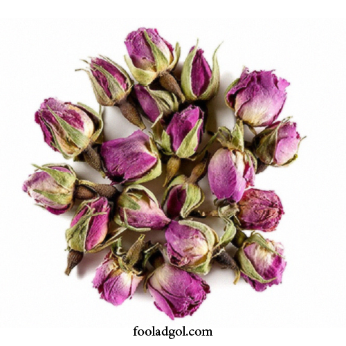 فولاد گل خرید عمده غنچه گل محمدی در داراب طالقانی