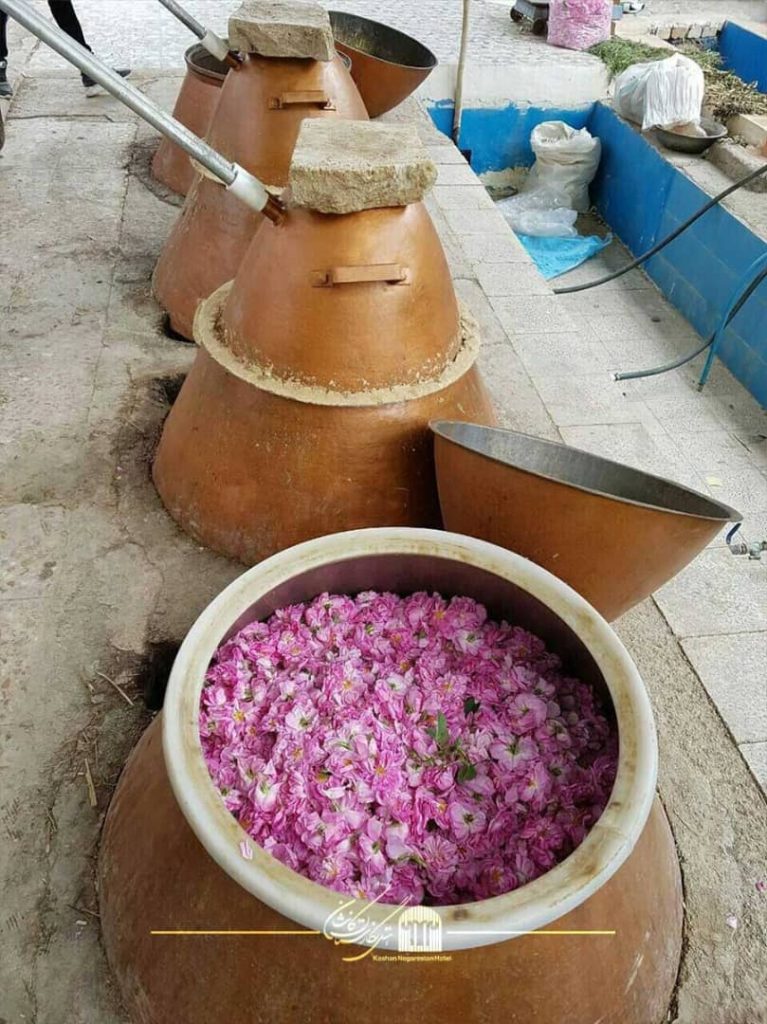 گلاب گیری صنعتی