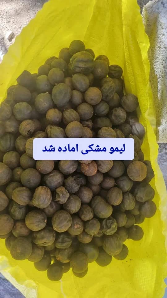 لیمو مشکی